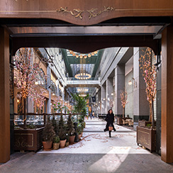 Click here to view image